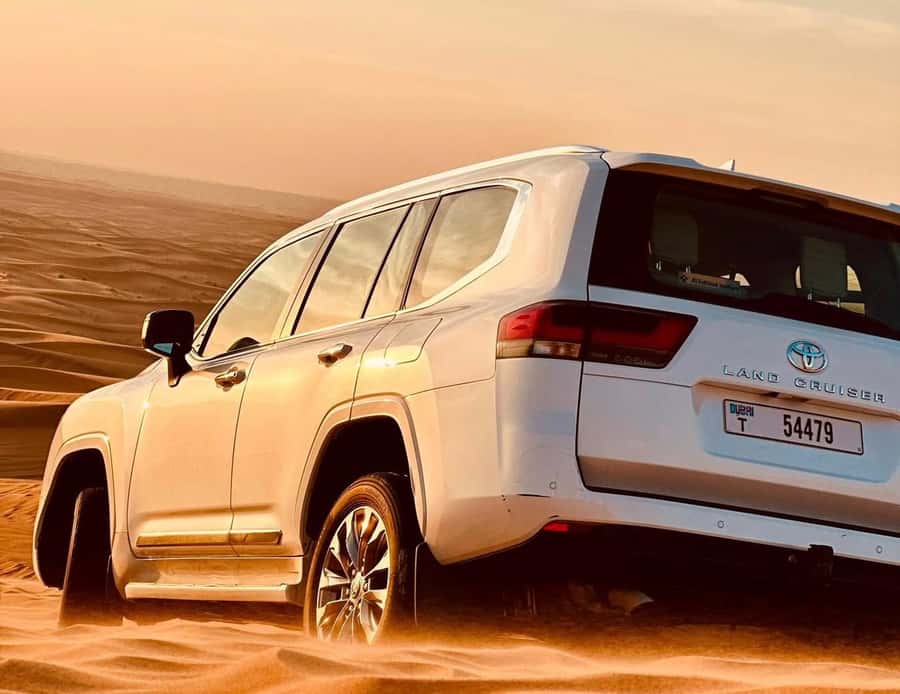 Private Gentle Sands Desert Experience Without Dune Bashing - Key points at a glance