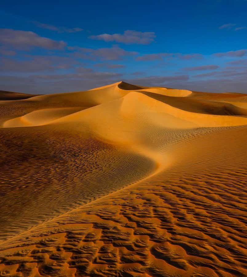 Private Gentle Sands Desert Experience Without Dune Bashing - Dune bashing, with an important title warning