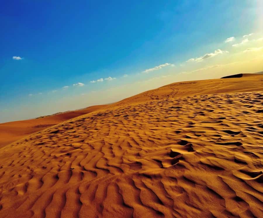 Private Gentle Sands Desert Experience Without Dune Bashing - The Inland Sea is the trip’s strongest scenic stop