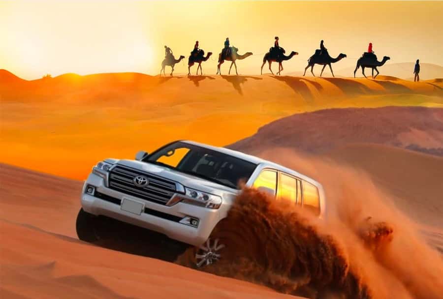 Private Gentle Sands Desert Experience Without Dune Bashing - What the guide service can add