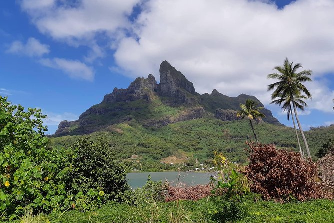 Private Island Tour by ATV / QUAD - Why an ATV is a good way to see more of Bora Bora
