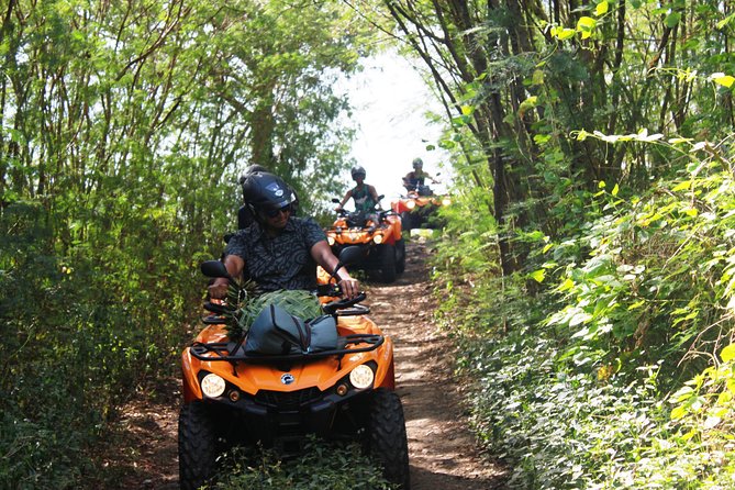 Private Island Tour by ATV / QUAD - The World War II cannons add real context