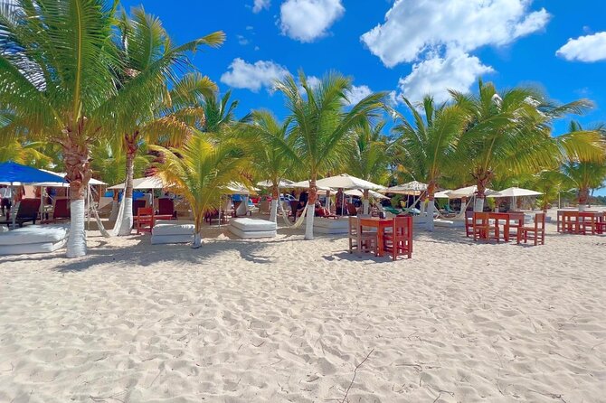 Private Jeep or Buggy Tour Snorkeling Maya Park and Tacos - Value, timing, and who should book