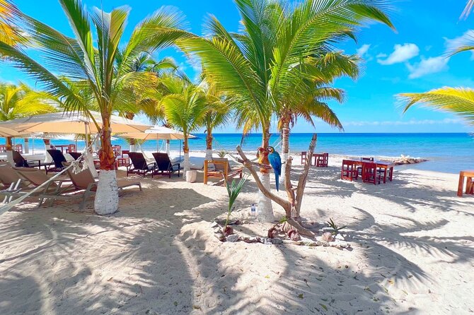 Private Jeep or Buggy Tour Snorkeling Maya Park and Tacos - Booking details worth handling early