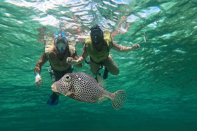 Private Jeep Tour & ATV to Jade Cavern Cenote: All Inclusive - Playa Publica San Martin keeps things simple