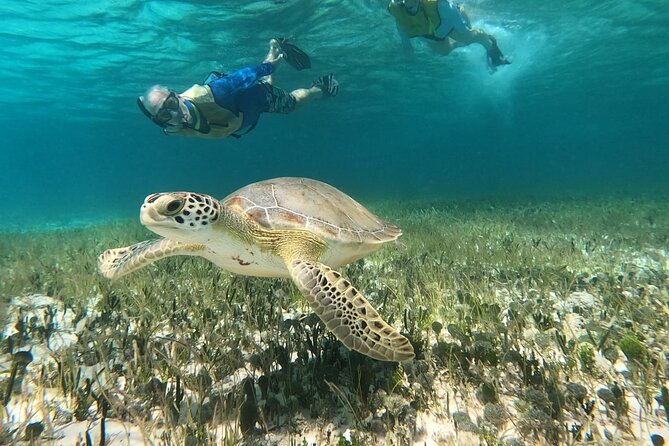 Private Jeep Tour & ATV to Jade Cavern Cenote: All Inclusive - El Cedral adds a small dose of Cozumel history
