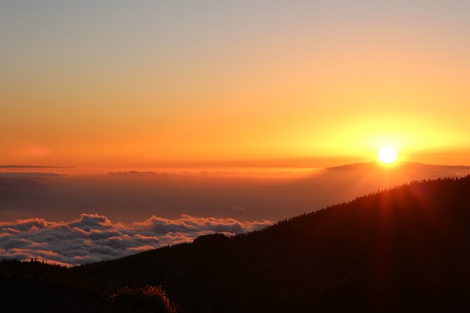 Puerto de la Cruz: Buggy Teide Sunset National Park - What driving the buggy is really like