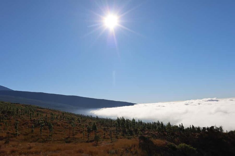 Puerto de la Cruz: Quad Teide National Park - Minas de San Jose and the lunar-style terrain