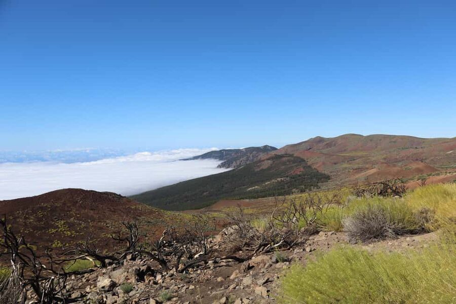 Puerto de la Cruz: Quad Teide National Park - Reaching 2,200 meters on Mount Teide
