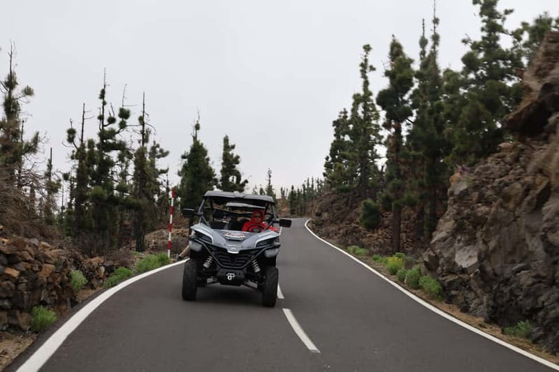 Puerto de la Cruz: Teide National Park Buggy Tour - The lunar-style volcanic setting