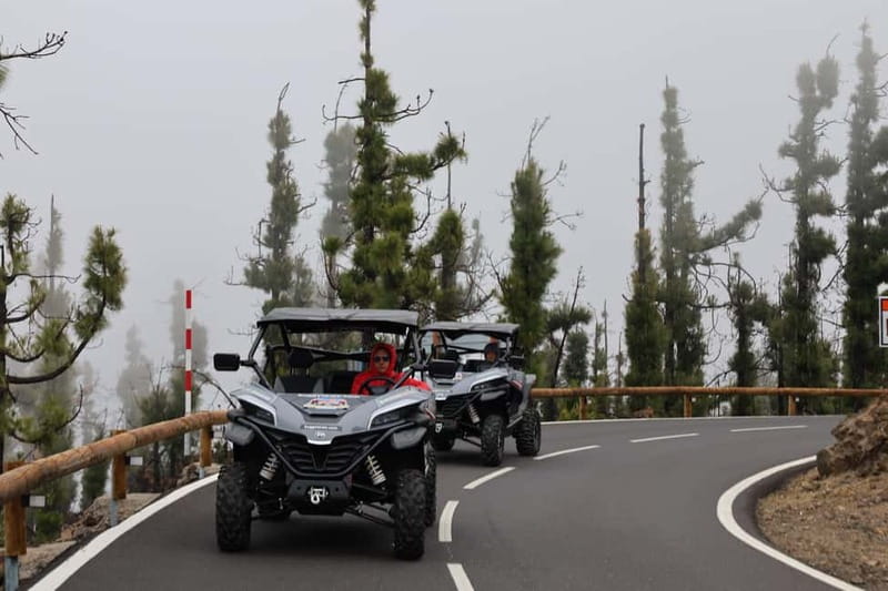 Puerto de la Cruz: Teide National Park Buggy Tour - La Caldera: a useful first look at Tenerife’s volcanic side