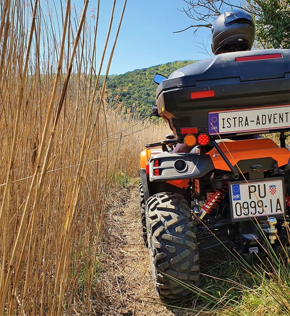 Pula and Rovinj: 1, 2, 2.5 or 4-Hour Istra Quad Safari - Turnina Castle and the two-hour Rovinj route