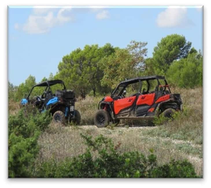 PULA AND ROVINJ: BUGGY FAMILY SAFARI 1, 2, 2.5 & 4 H - The one-hour Barban route: a short taste of Istria