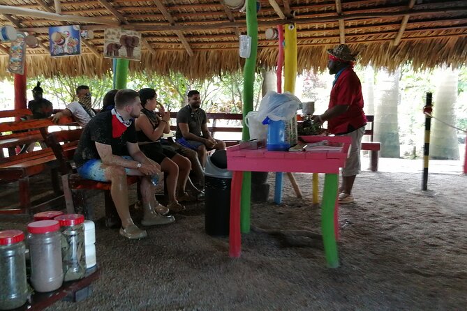 Punta Cana Adventure: Offroad 4x4 ATV - Cave and Macao Beach Dip - How the $45 price measures up