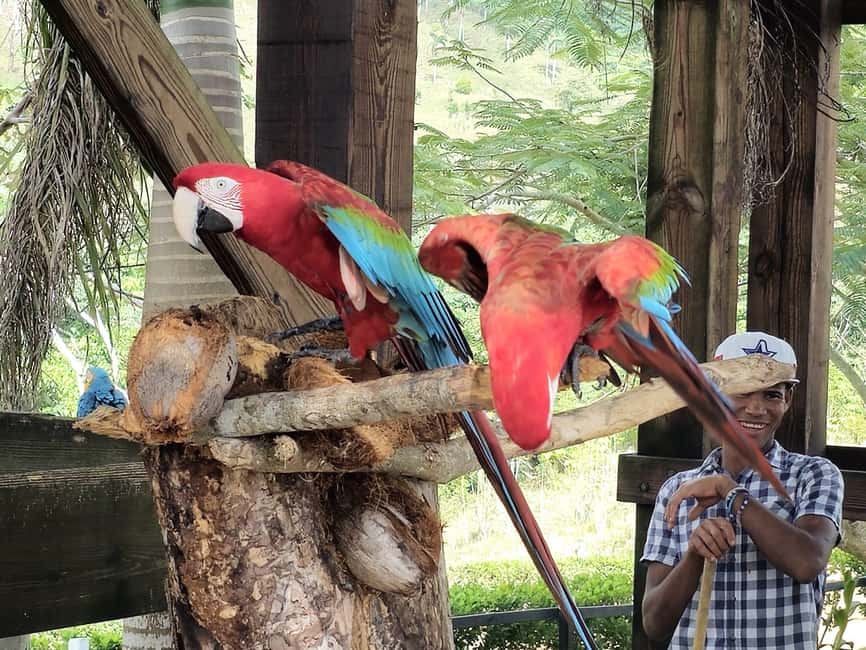 Punta Cana: Buggy and Zipline Adventure at La Hacienda - From Punta Cana to Monte Plata