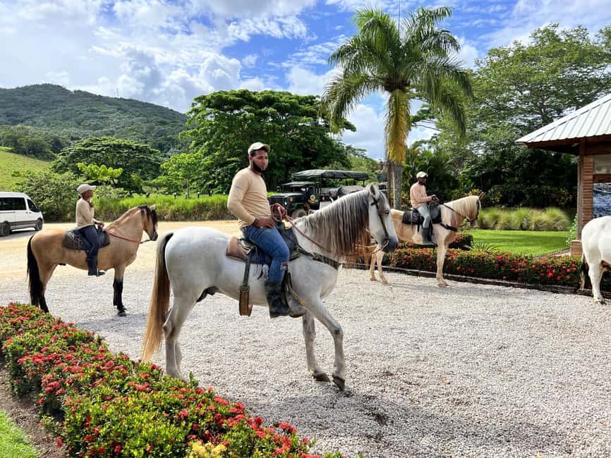 Punta Cana: Buggy and Zipline Adventure at La Hacienda - Seven activities, one energetic schedule