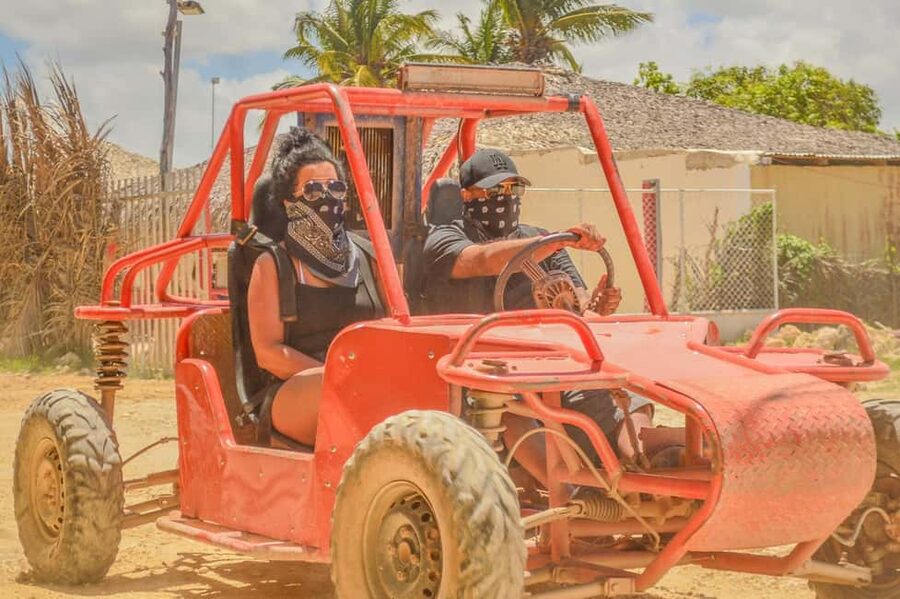 Punta Cana: Countryside and Macao Beach Half-Day Buggy Tour - Driving through tropical roads and gardens