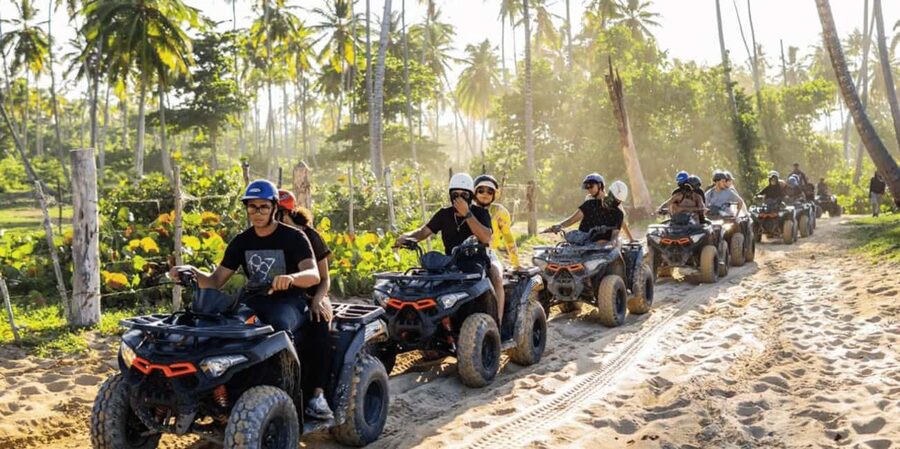 Punta Cana: Half-Day Buggy Tour with PickUp & Macao Beach - Through tropical gardens, farms, and rough roads