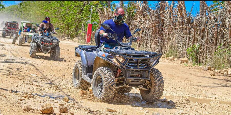Punta Cana: Half-Day Buggy Tour with PickUp & Macao Beach - The organic farm and Dominican flavors