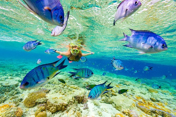 Punta Cana Snorkeling Cruise and Dune buggy Combo Adventure - Key points to know before booking