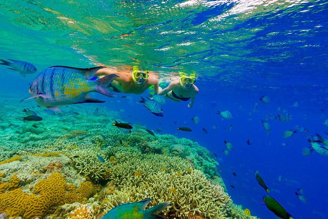 Punta Cana Snorkeling Cruise and Dune buggy Combo Adventure - Swimming at Los Hoyos del Salado cenote