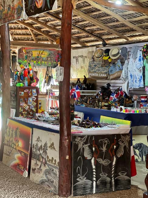 Punta Cana: Wild Off-Road Dune Buggy Adventure - Why this four-hour outing works so well