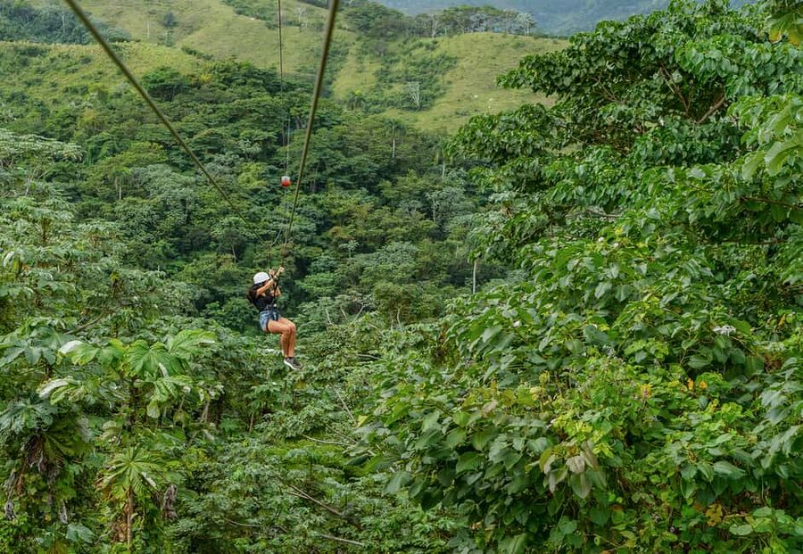 Punta Cana: Zipline, Chairlift, Buggy & Horse Ride Adventure - Ziplining through the forest