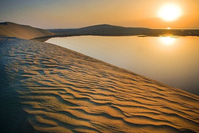 Qatar Desert Safari, Dune Bashing (Private Safari Tour) - Optional camel ride and local tea