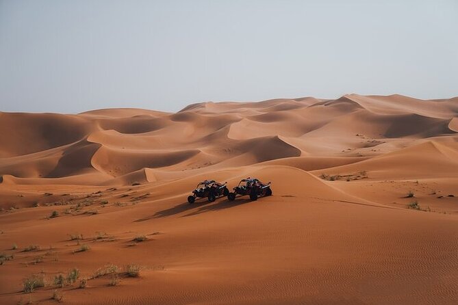 Qatar Desert Thrills Self Ride Dune Buggy Safari and Camel Ride - Sealine Beach gives the activity its setting