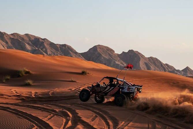 Qatar Desert Thrills Self Ride Dune Buggy Safari and Camel Ride - The camel ride is traditional, but very short