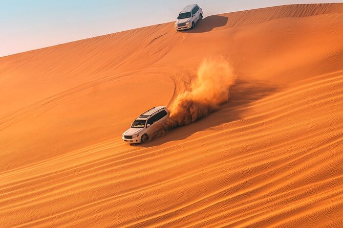 Qatar Dune Buggy Private Experience - Who Should Book This Experience?