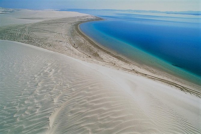 Qatar Gold Dune Safari, Dune Bashing,Camel Ride,Sand Boarding,Inland Sea Desert - The camel camp and a five-minute taste of desert travel