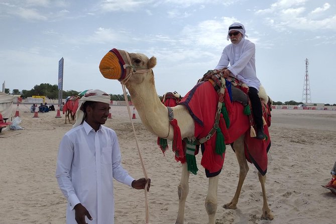Qatar Gold Dune Safari, Dune Bashing,Camel Ride,Sand Boarding,Inland Sea Desert - Sandboarding on the golden dunes