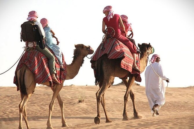 Qatar Sunset Desert Safari: Dune Bashing & Golden Sands Adventure - Two hours of dune bashing across golden sand