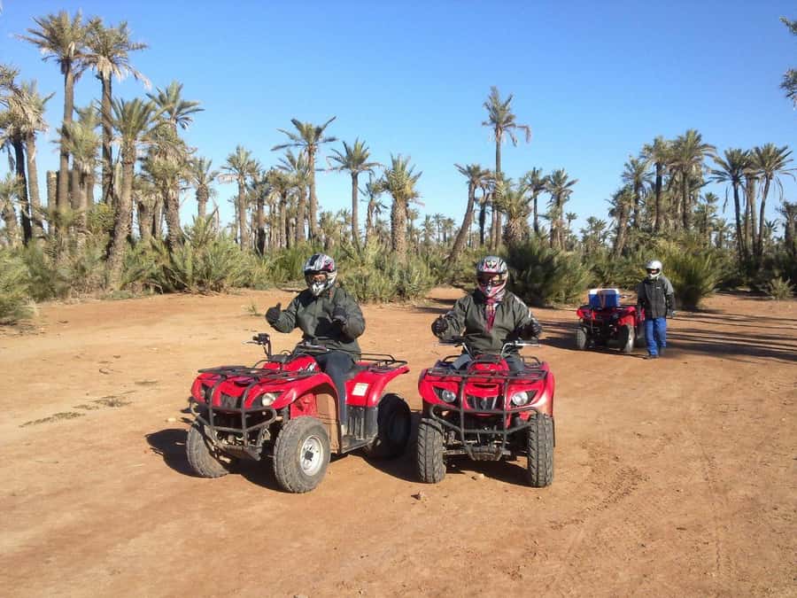 Quad Bike Activity in Marrakech Palmeraie - Who Will Enjoy This Activity Most?