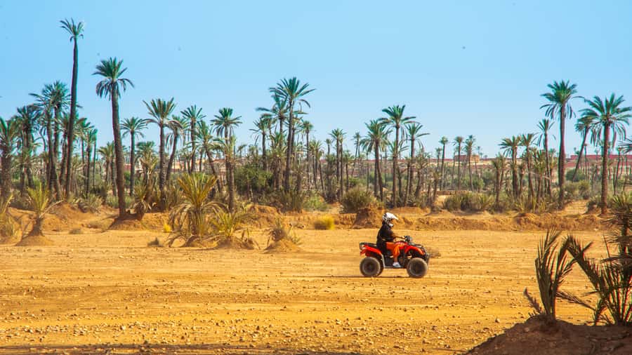 Quad Bike Activity in Marrakech Palmeraie - Booking Advice for a Smoother Morning or Afternoon
