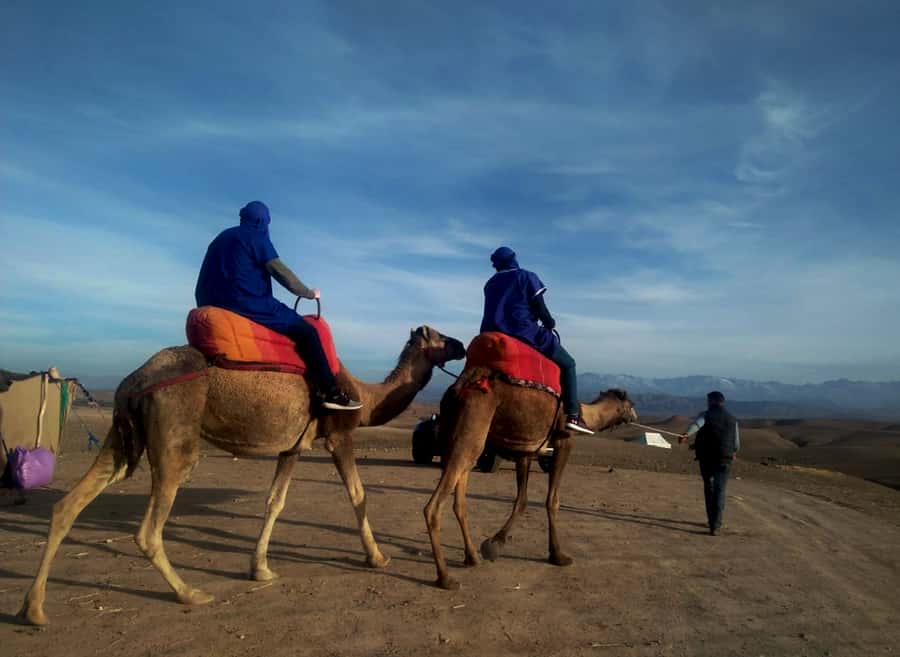 Quad bike & Camel ride in Agafay with dinner at Chouf L’or - Slowing Down on the One-Hour Camel Ride