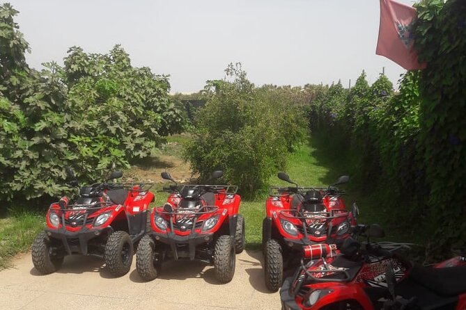 Quad Biking and Sandboarding on Sand Dunes Wild Beach - Mint tea and a slower local moment