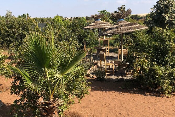 Quad Biking and Sandboarding on Sand Dunes Wild Beach - Who will enjoy this outing most