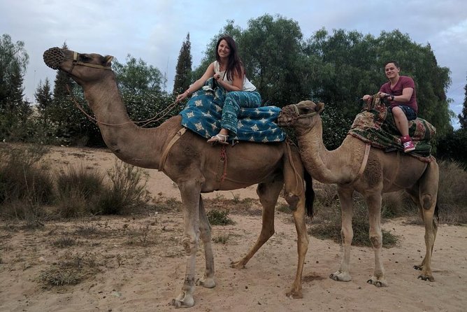 Quad Biking Half Day And Camel Ride In Sunset - The 6:00 camel ride and sunset light