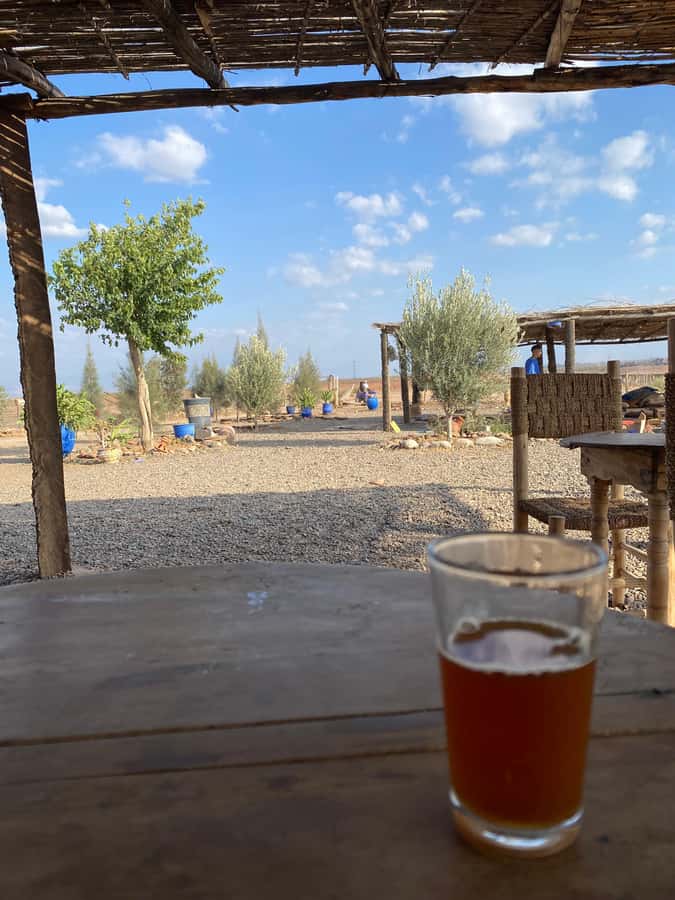 Quad biking in Marrakech's desert palm grove - Riding through the Palmeraie