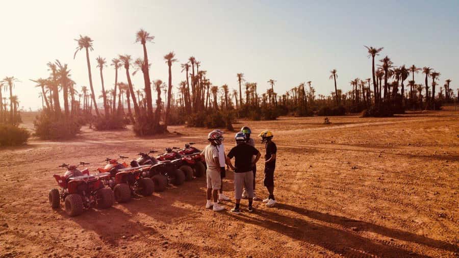 Quad biking in Marrakech's desert palm grove - Hotel pickup makes the outing easy