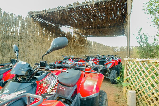 Quad Biking on the Beach and Forest Dunes with Pickup from Agadir - What $38.34 really gets you