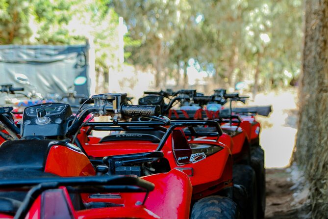 Quad Biking on the Beach and Forest Dunes with Pickup from Agadir - Lamzar Desert offers the more demanding riding