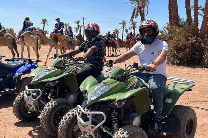Quad in the Palmeraie of Marrakech - Key things to know before you book