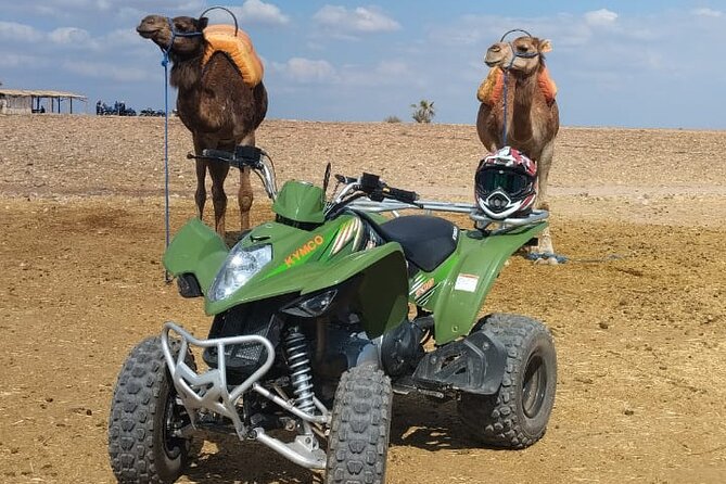 Quad in the Palmeraie of Marrakech - Why the Palmeraie makes a good escape from Marrakech