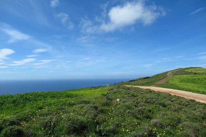Quad or Buggy Tour from Coral Bay to Adonis Baths - Leaving Pegeia for the Akamas coast