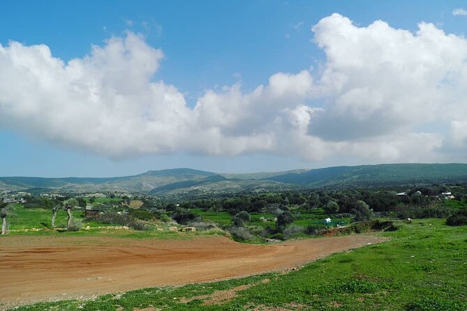 Quad or Buggy Tour from Coral Bay to Adonis Baths - Lara Bay: turtles, swimming, and a practical lunch stop