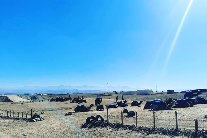 Quad Ride In The Agafay Desert - Mint Tea, a Rest Stop With Local Flavor