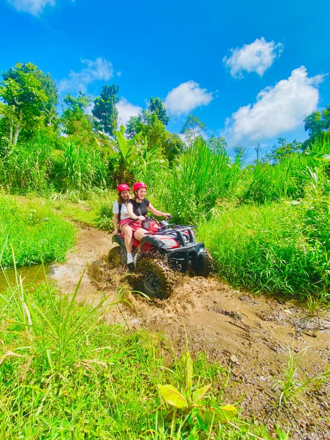 Quad ride, waterfalls & aunthentic cooking class in munduk - Coffee plants and hydrangea fields along the route
